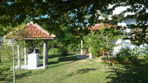 Гостиница Sunshine Cafe  Tangalla
